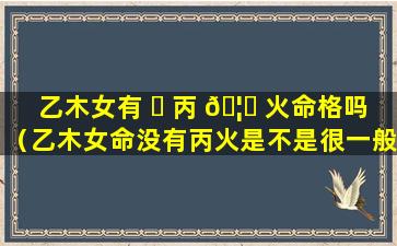 乙木女有 ☘ 丙 🦆 火命格吗（乙木女命没有丙火是不是很一般）